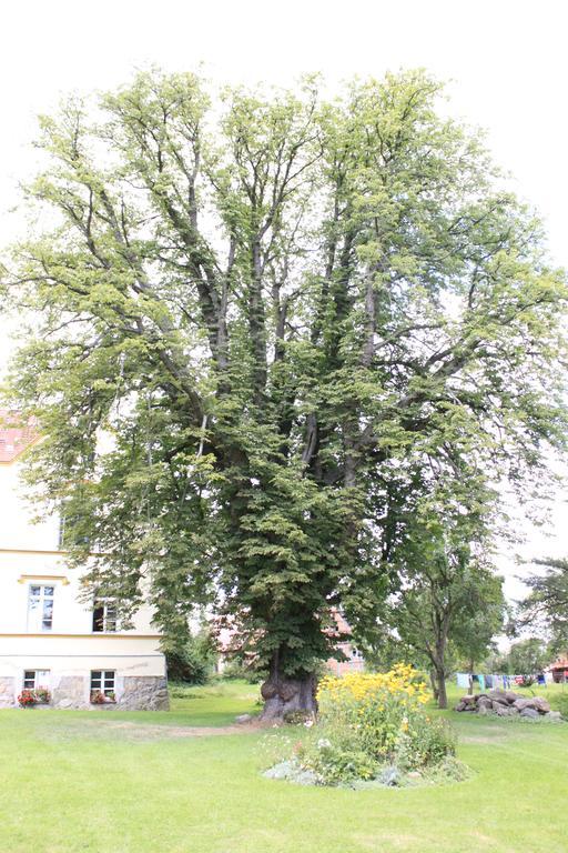 Schloss Lelkendorf - Fewo Parkblick Esterno foto
